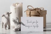 Reys Monstera Signature Font