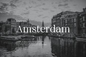Neutical 6 Weight Serif Family Font