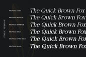 Neutical 6 Weight Serif Family Font