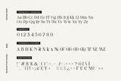 Neutical 6 Weight Serif Family Font