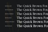 Neutical 6 Weight Serif Family Font