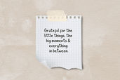 Pine Words Handwritten Font
