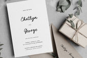 Brittney and Jasmine Brush Script Font