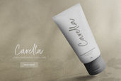 Dellmonte Casual Script Font