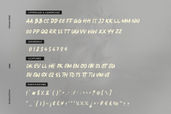 Horison Prime All Caps Modern Handwritten Font