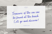 Royal Wisdom Script Font