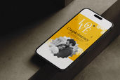 The Gold Bachelor Serif Font