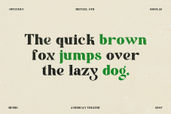 Treasure Times Bold Retro Serif Font