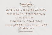 Silver Brown Modern Script Font