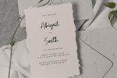 Silver Brown Modern Script Font
