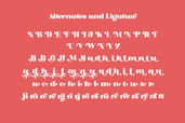 Brojack Bold Retro Serif Font
