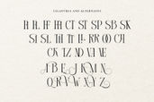 Courage Apprentice Serif Font