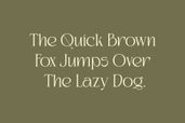 Kaviera Modern Stylish Serif Font