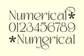 Kaviera Modern Stylish Serif Font