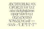 Kaviera Modern Stylish Serif Font