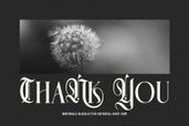 Northvale Blackletter Serif Font