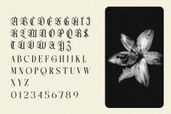 Northvale Blackletter Serif Font