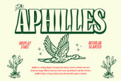 Aphilles Display Font