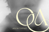 Aveltin Stylish Serif Font