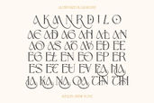 Aveltin Stylish Serif Font