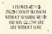 Farqey Denours Serif Font