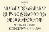 Farqey Denours Serif Font