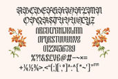 Nocthira Blackletter Font