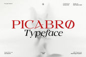 Picabro Serif Typeface