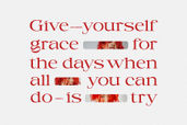 Picabro Serif Typeface