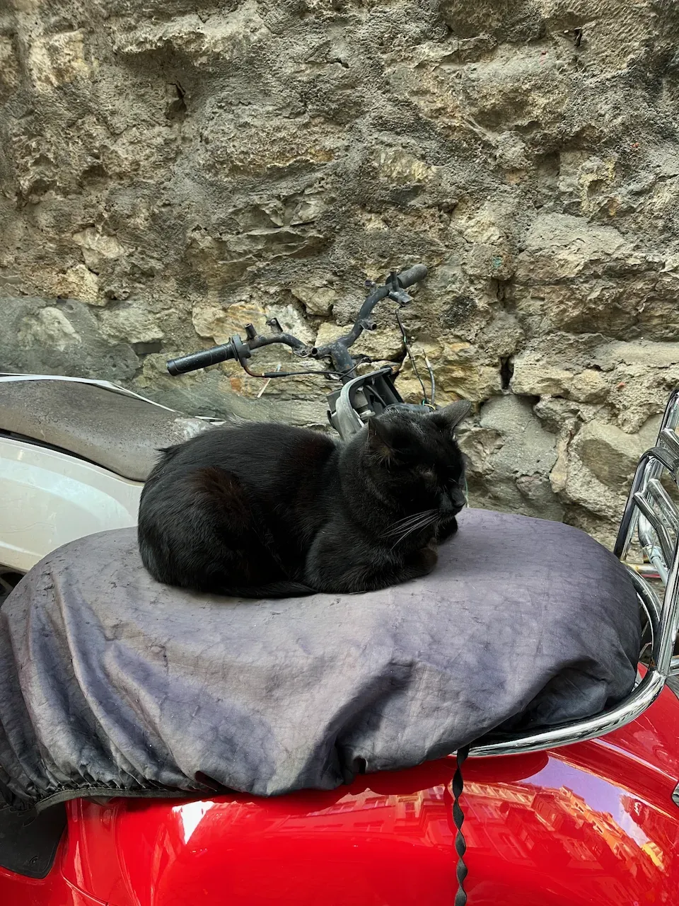 A black cat sleeping curled up on the seat of a red motor scooter.
