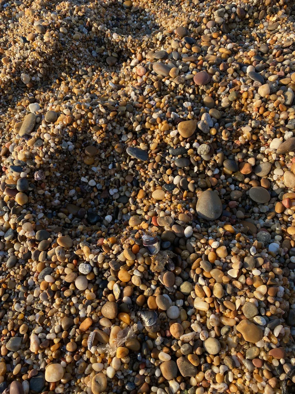 Close-up of smooth multicolored pebbles covering a beach.