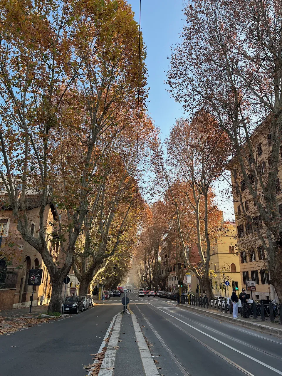 Wide tree-lined city street with autumn foliage and European apartment buildings.