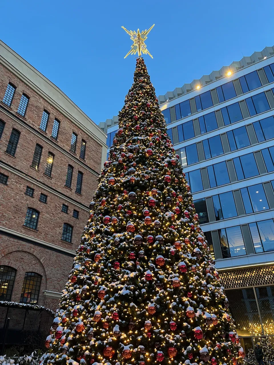 Large illuminated Christmas tree with red ornaments and a golden star between brick and glass buildings.