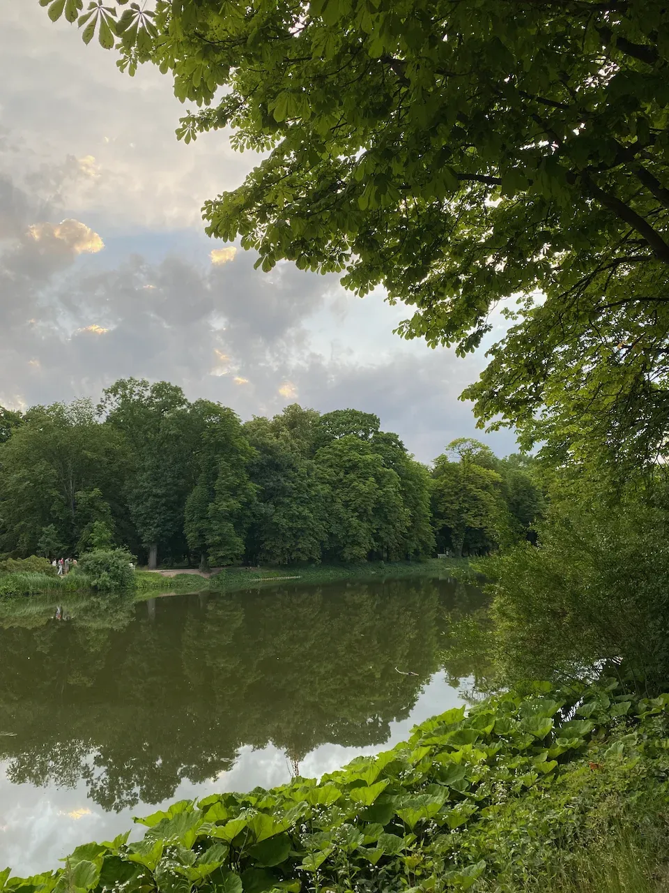 Calm lake in a park reflecting green trees under an overcast sky.