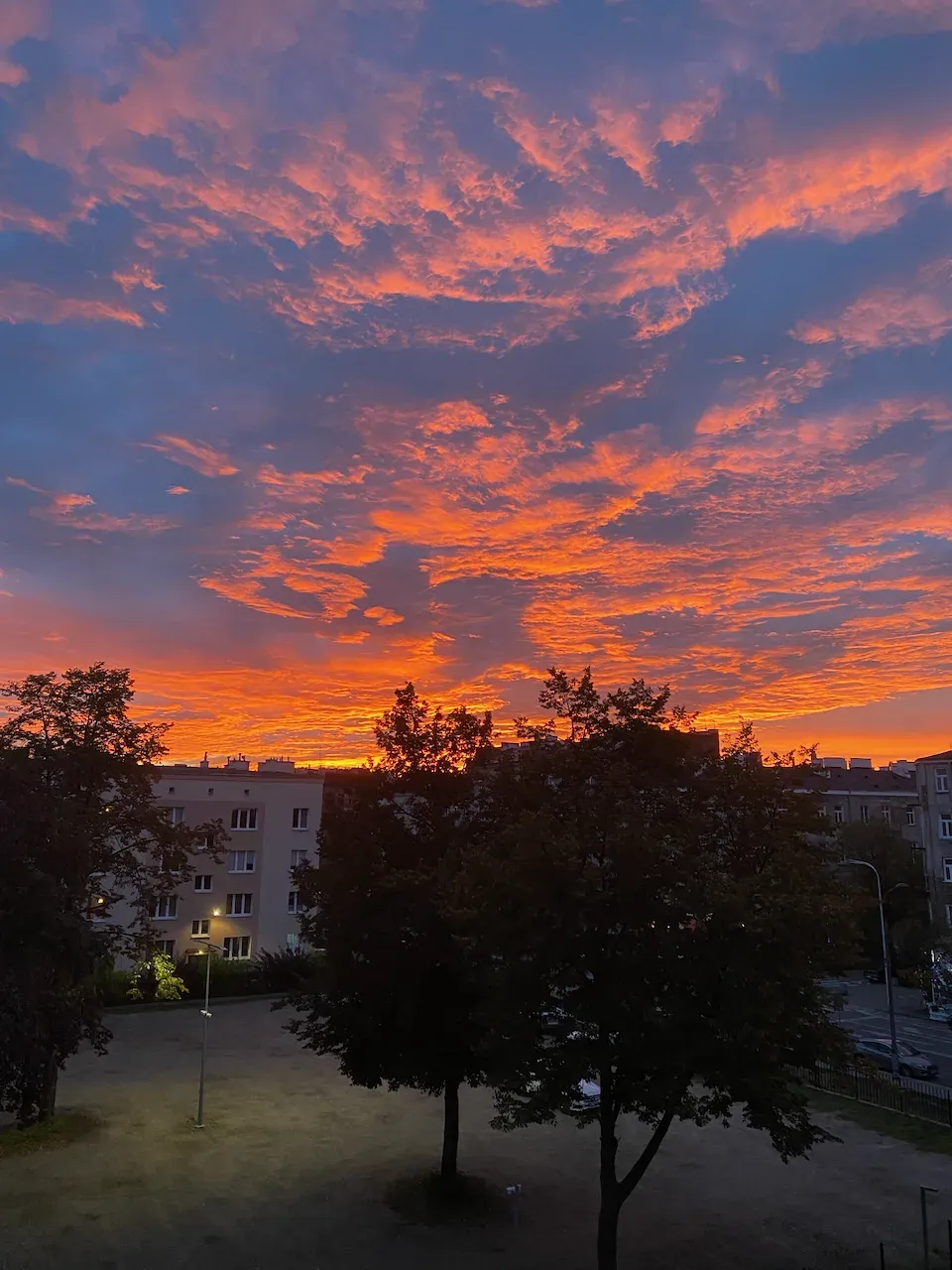 Vibrant orange and purple sunset over silhouetted trees and apartment buildings.