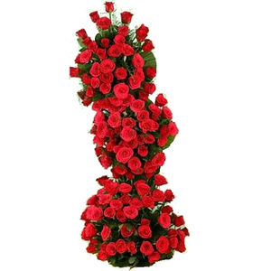 Deep Love Red Roses Flower