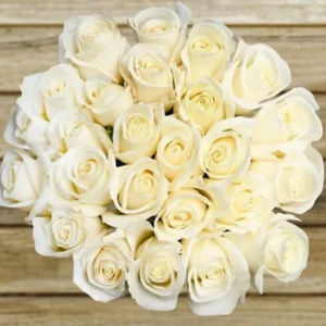 50 White Roses