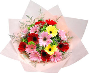 15 Mixed Gerberas Flower in Tissue Wrap 