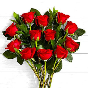 One Dozen Red Roses