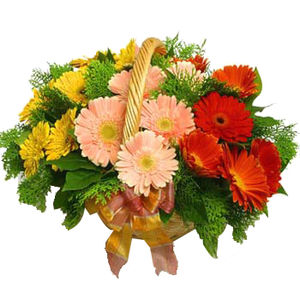 18 Gerberas Flower in Basket