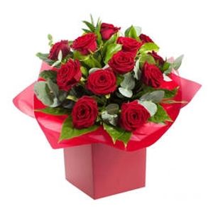 Romantic Red Roses