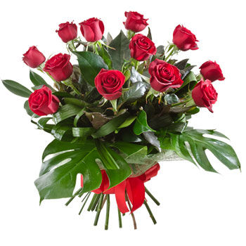 Red Passion Red Passion