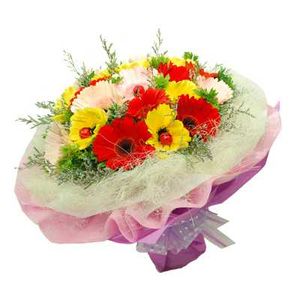 18 Gerberas Flower in Tissue Wrap