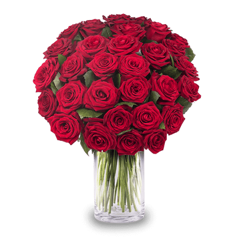 Roses Affairs Roses Affairs