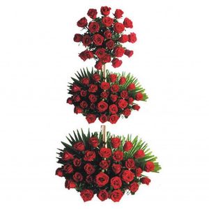 3 Feet Arrangement of 100 Red Roses Flower