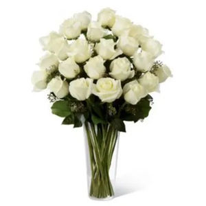 Two Dozen White Roses