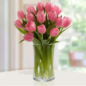 20 Pink Tulips
