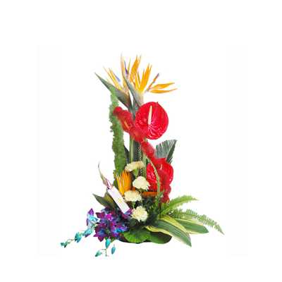 Exotica Exotica