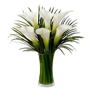 Calla Lillies