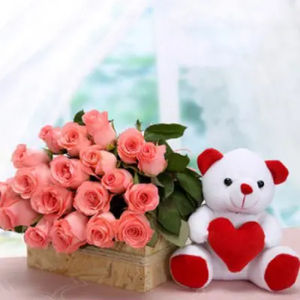Pink Roses And Teddy